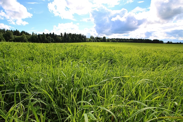 Lanscape weide lucht wolk