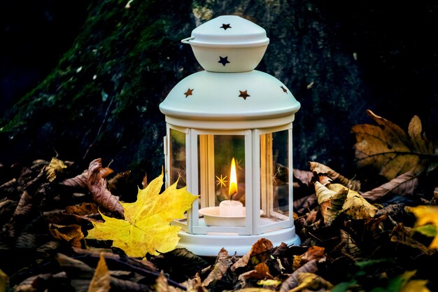 Lantaarn met een kaars in het bos tussen de herfstbladeren