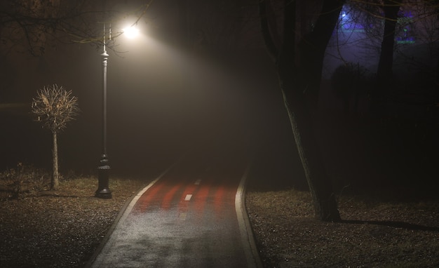 lantaarnlichten op de weg in het bos in de mist