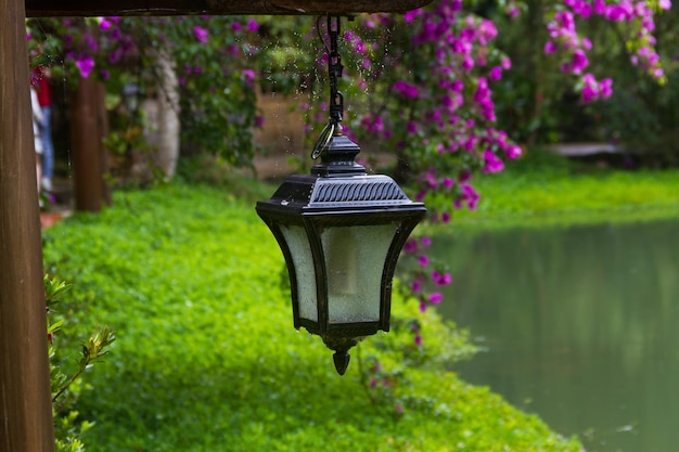 Lantern by plants against trees