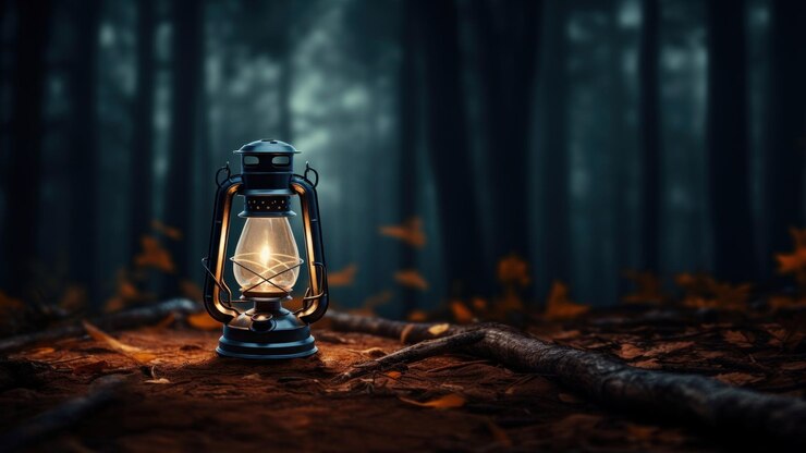 Photo lantern illuminated tranquility darkness