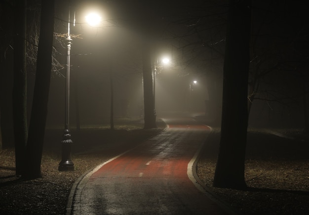 Foto luci della lanterna sulla strada nella foresta nella nebbia