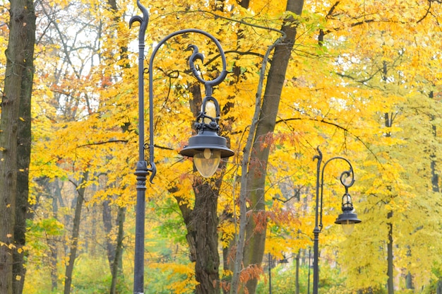 Lantern in the park autumn