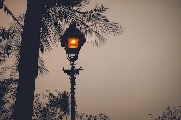 lantern on the streetlantern on the streetbeautiful night view of the city