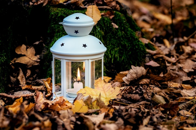 Lantern with a candle in the garden among the dry fallen leaves in autumn