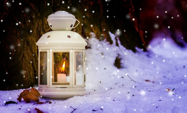 Lantern with candle on snow near tree in forest. winter evening in the forest_