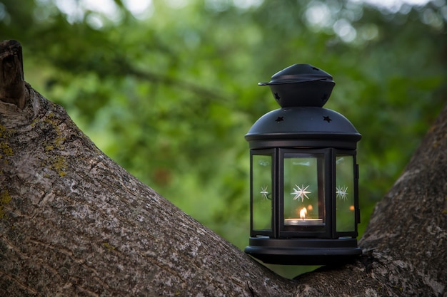 Lantern with a candle in the summer forest