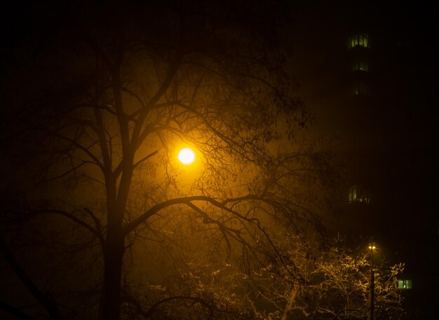 Foto lanterne nel buio della sera