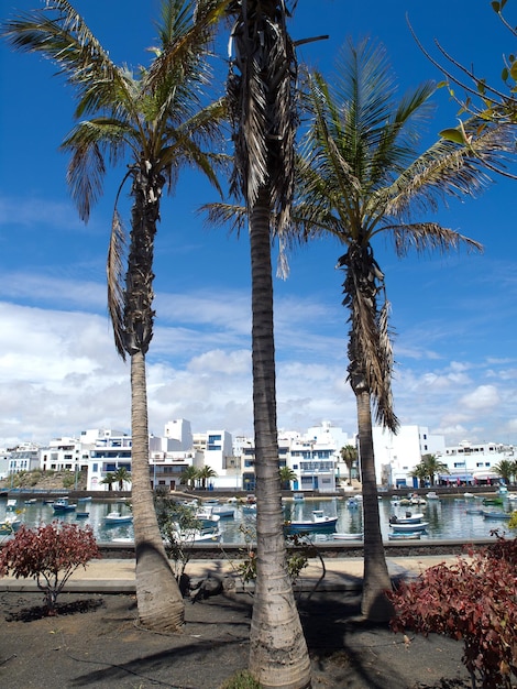 Photo lanzarote island