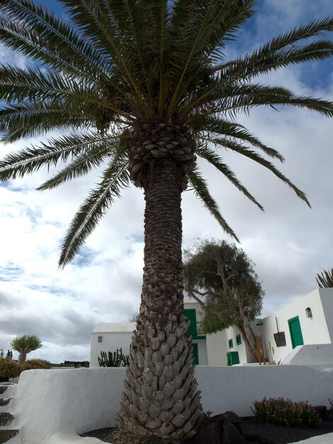 Photo lanzarote island