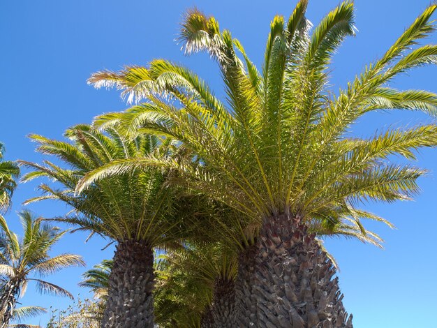 Photo lanzarote island