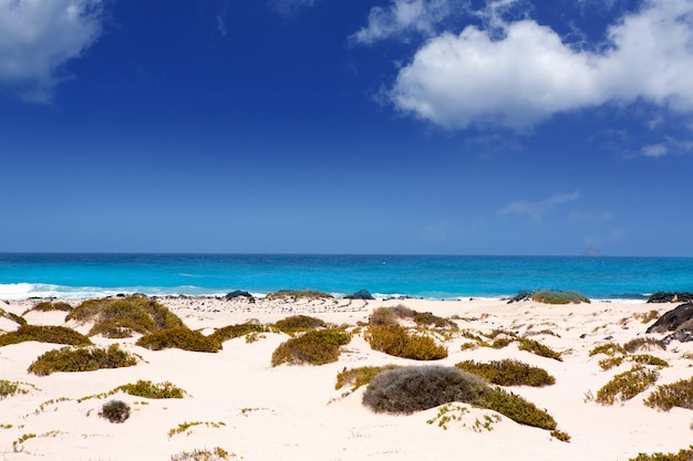 Photo lanzarote orzola white sand beach in canaries