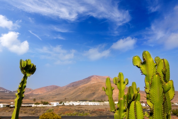 Lanzarote yaiza con cactus e montagne