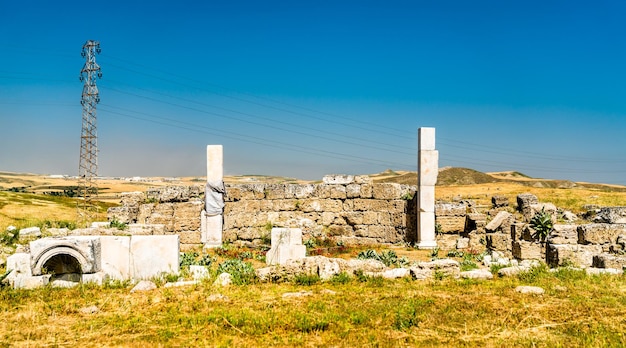 Laodicea on the Lycus ancient Roman city ruins in western Turkey