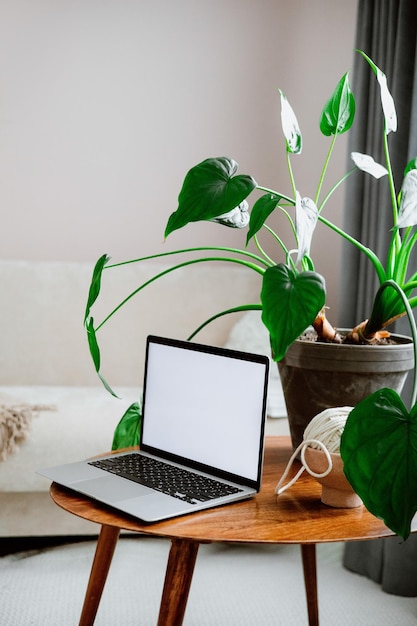 Photo a laptop on a coffee table with a plant in the background