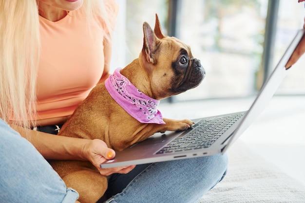 Laptop gebruiken Vrouw met mopshond is overdag thuis