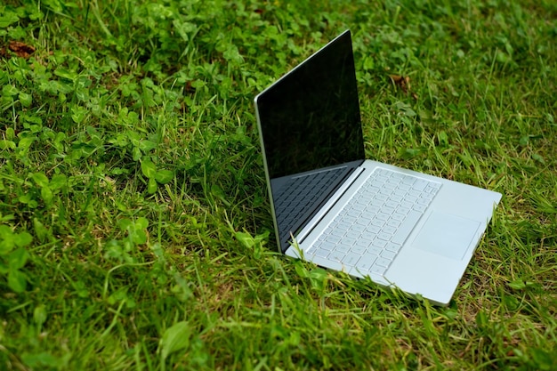 Laptop on grass