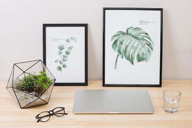 Foto laptop met afbeeldingen en planten op tafel