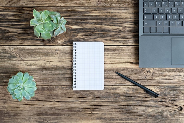 A laptop an opened notebook and two succulent home plants on a wooden table