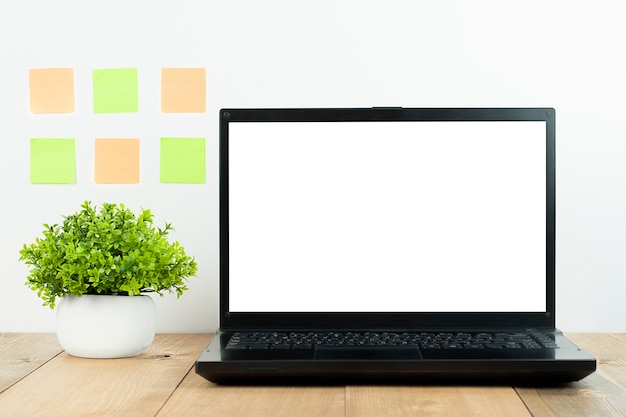 Laptop and plant on wooden work table.freelance work