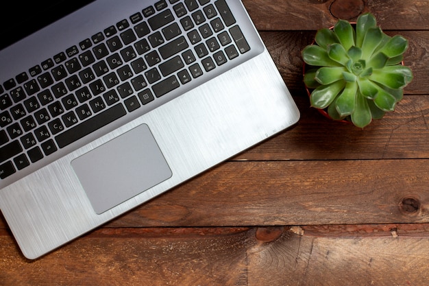 Laptop and succulent on wooden background