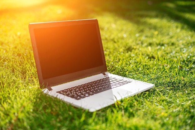 Laptop with blank screen on green lawn