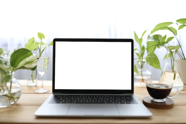 Laptop with a glass of coffee and water plants in clear glass vase and cup