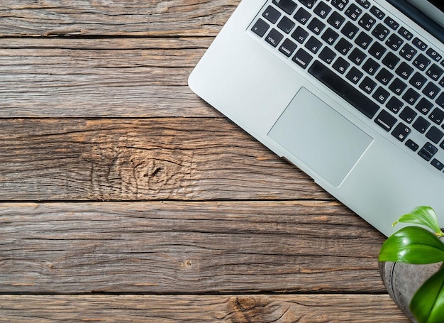 A laptop with a plant next to it