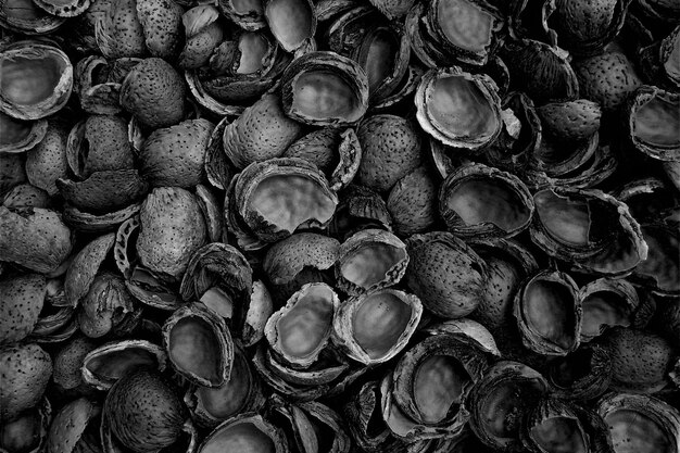 Large background of raw almond husks located arbitrarily in black. With space to write