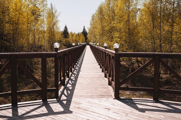 large and beautiful hinged wooden bridge in the forest