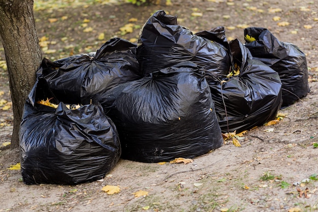 Foto grandi sacchi neri con immondizia e foglie raccolte nel parco e nella foresta