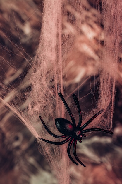 Photo large black spider and a spider web. background for halloween