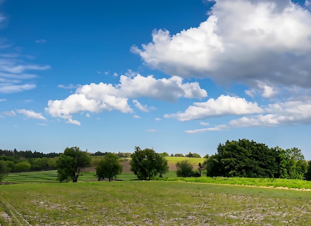 large body of water next to a lush green field