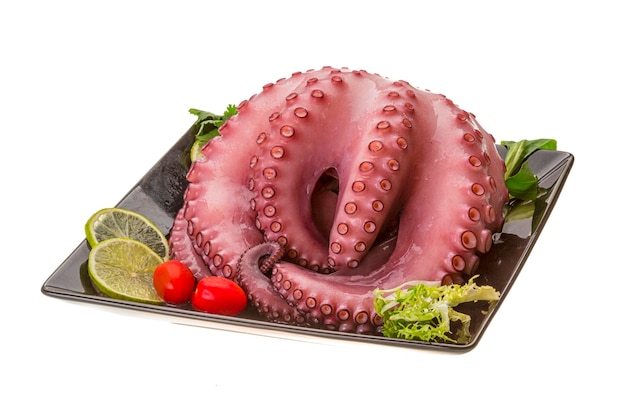 Large boiled octopus