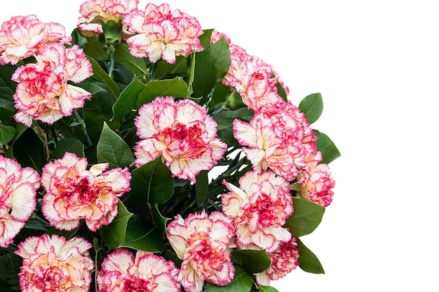 Large bouquet of bright colorful carnations