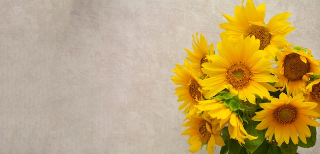 A large bouquet of sunflowers, yellow flowers on a beige background. blank for a postcard, a place