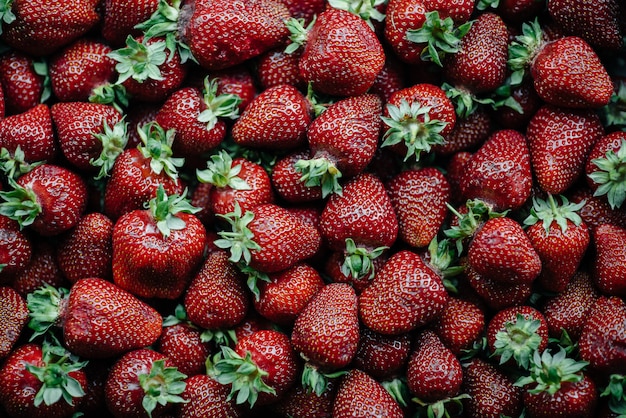 A large box of ripe and beautiful strawberries. Berries.