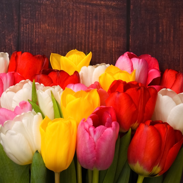 Large bright bouquet of multi-colored tulips