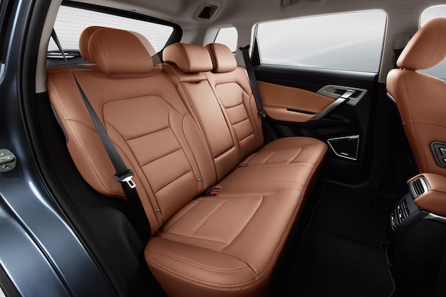 A large brown bmw x5 sits in the back seat of a car