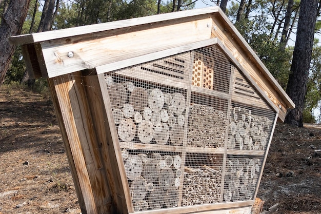 Large bug hotel insect house wooden hut gives protection and\
nest aid to bees and insects in big cabin