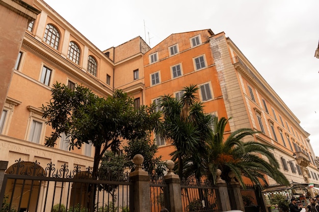 A large building with a green tree in front of it