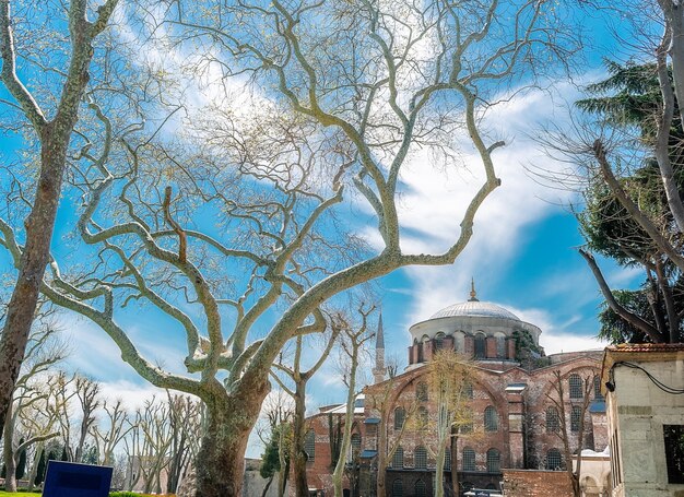 Photo a large building with a large tree in front of it