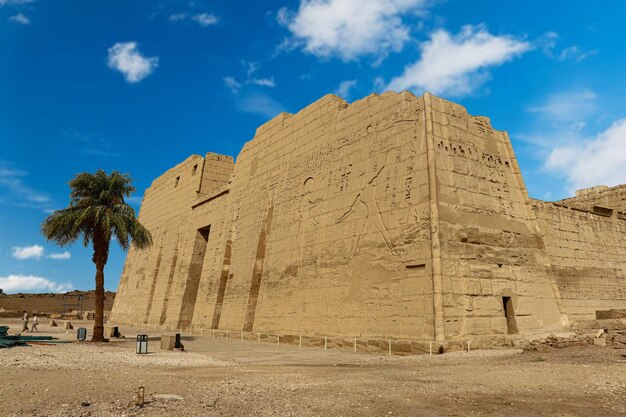 Большое здание с пальмой на переднем плане храма Мединет Хабу в Луксоре, Египет