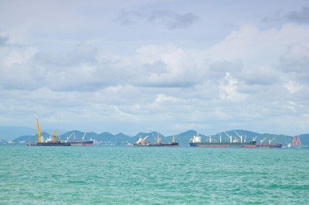 Large cargo ships moored offshore.