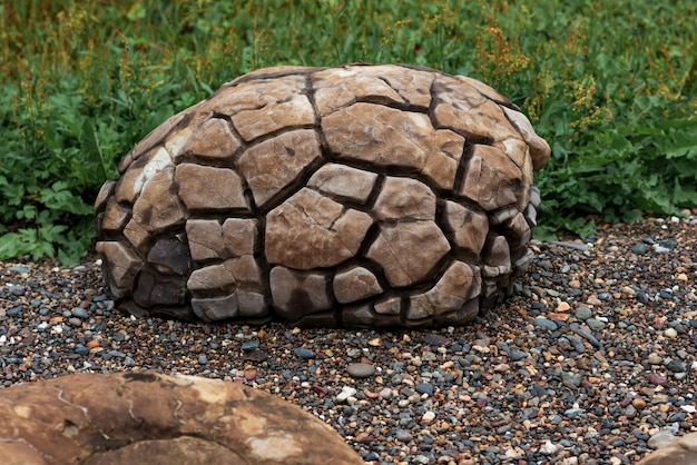 Large concretion with a fissured surface formed in marine sediments