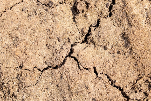 Large cracks on dry ground close up