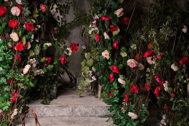 Large decorated bushes with bright multicolored flowers on background of an old concrete wall