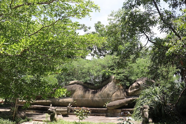 Photo a large dinosaur is in a park with trees and bushes.