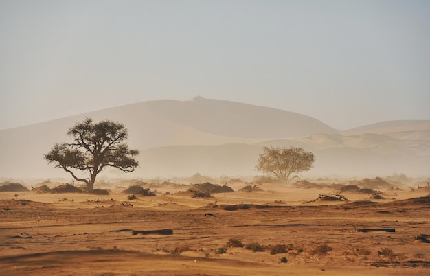 Photo large distance majestic view of amazing landscapes in african desert