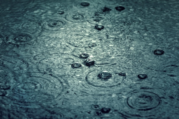 Large drops of rain on the surface of the water